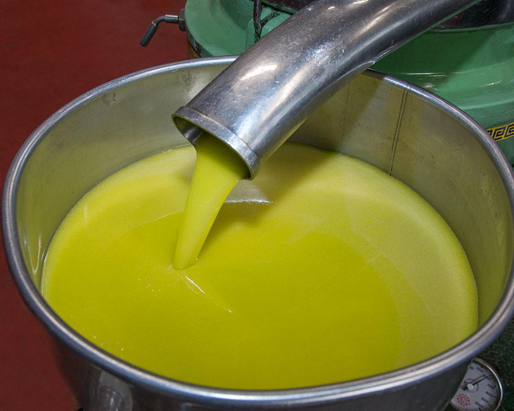Olio extravergine di oliva Oleificio Volterra